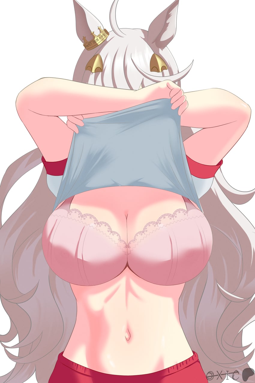 赛马娘、琵琶晨光 (赛马娘) 1名女孩 兽耳 作者名 胸罩 乳房