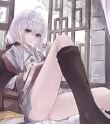 二次元插画 #11403621