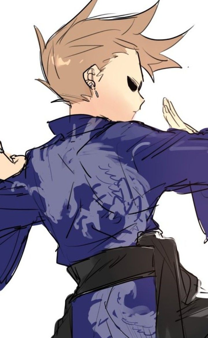 爱德的世界、Tom (Eddsworld) 1名男孩 替换服装 动画化 黑饰带 棕发