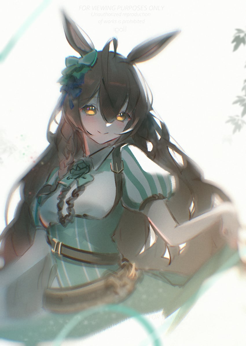 赛马娘、目白光明 (Brunissage Line) (赛马娘)、目白光明 (赛马娘) 1名女孩 呆毛 兽耳 水蓝色连衣裙 水色花