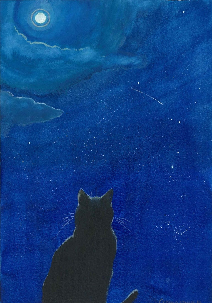 原创 动物 动物焦点 黑猫 蓝色主题 猫