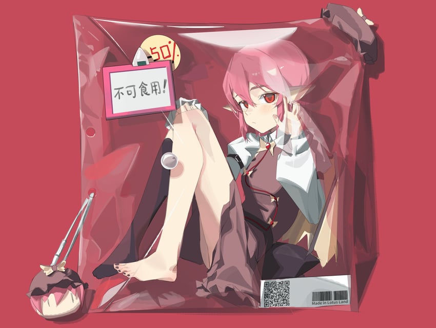 东方Project、米斯蒂娅·萝蕾拉 1名女孩 赤脚 鸟翼 棕色连衣裙 连衣裙