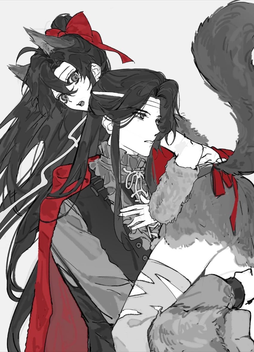 魔道祖师、蓝忘机、魏无羡 2个男孩 呆毛 替换服装 兽耳 黑发