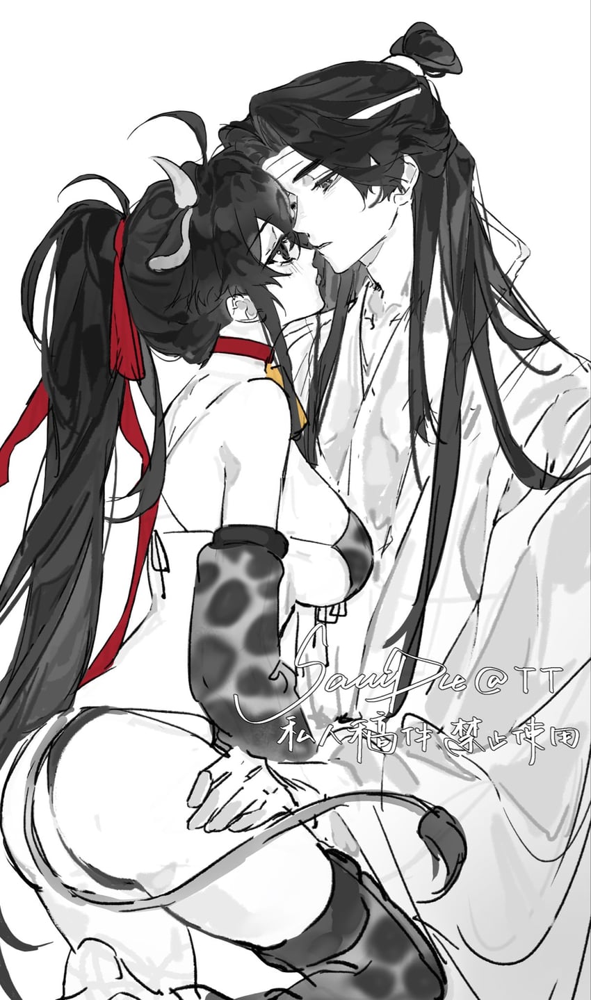魔道祖师、蓝忘机、魏无羡 1名男孩 1名女孩 呆毛 替换服装 动物项圈