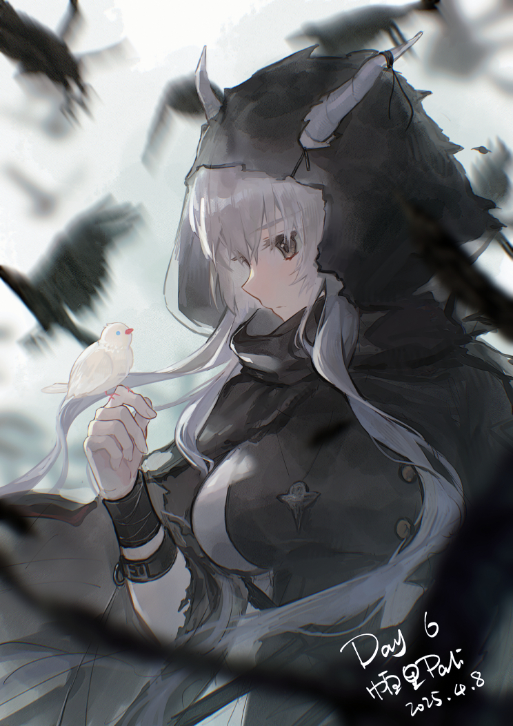 明日方舟、闪灵 (明日方舟) 1名女孩 鸟 鸟在手上 黑鸟 黑色披肩