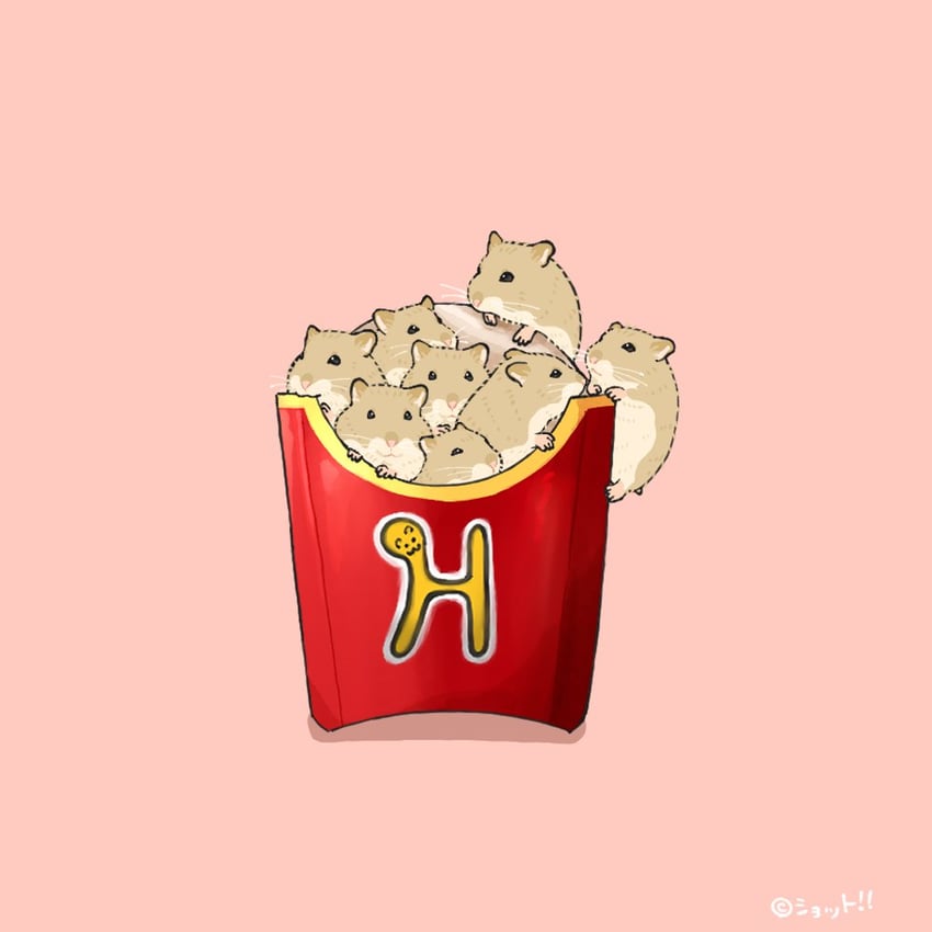 原创 动物 动物焦点 仓鼠 无人类 粉色背景