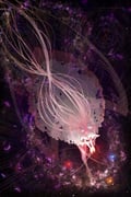 二次元插画 #11417690