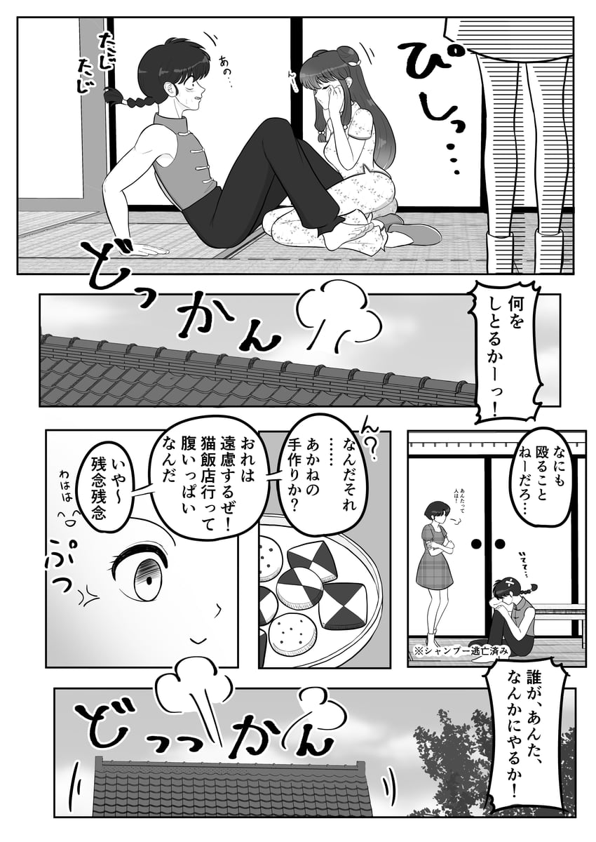 乱马1/2、早乙女乱马、早乙女乱马 (男) 1名男孩 2名女孩 青筋 赤脚 辫子