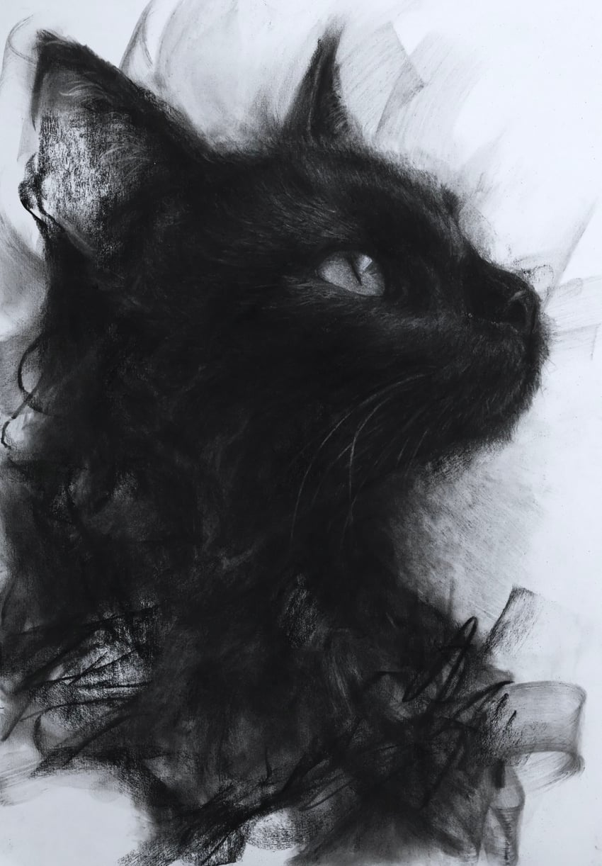 原创 黑猫 猫 闭嘴 灰度 单色