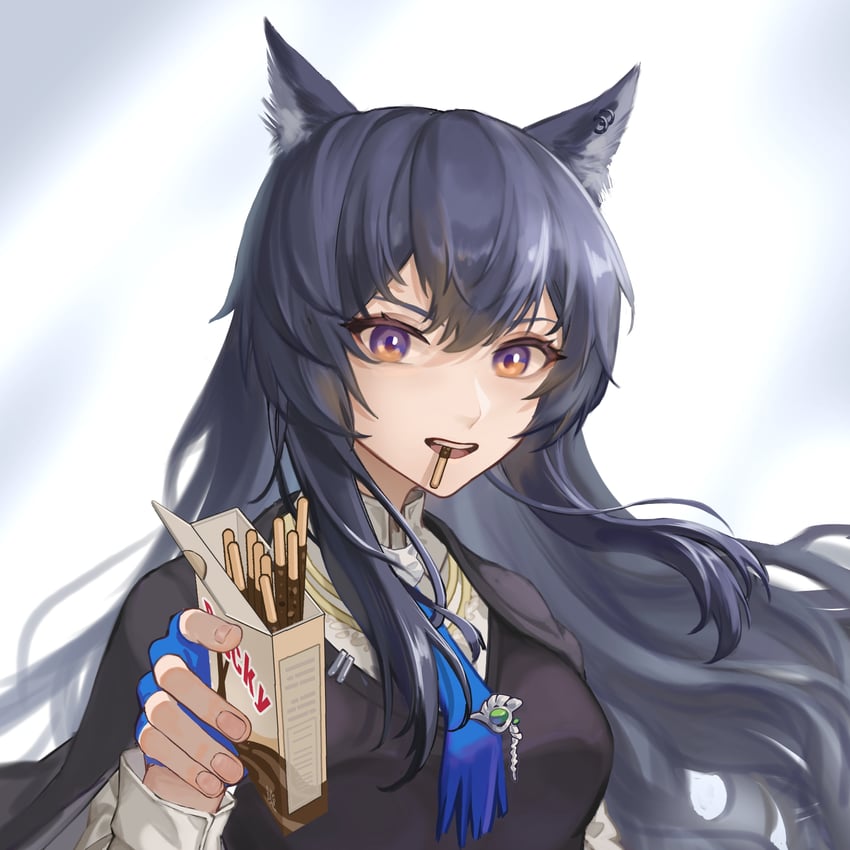 明日方舟、德克萨斯 (明日方舟)、缄默德克萨斯 1名女孩 兽耳穿孔 兽耳 黑色披肩 黑发