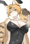 二次元插画 #11422289