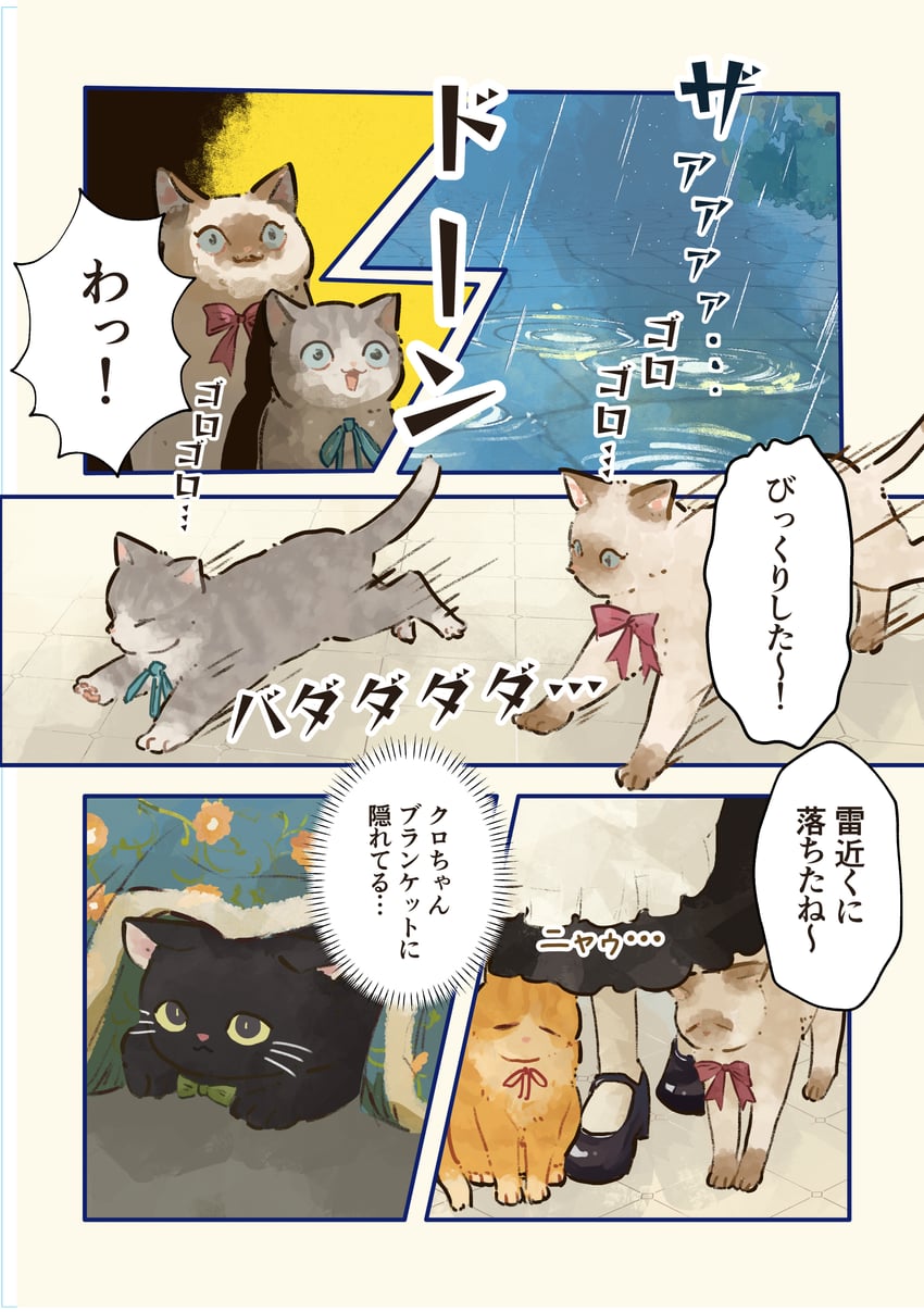 原创 1名女孩 猫脸笑 动物 动物焦点 围裙