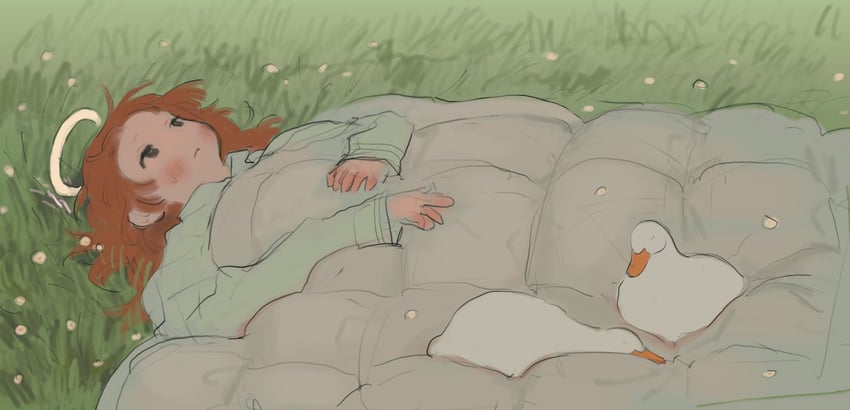 原创 1名女孩 鸟 毯子 鸭子 草地