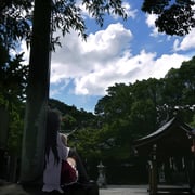 二次元插画 #11426702