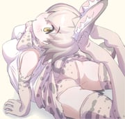 二次元插画 #11428633