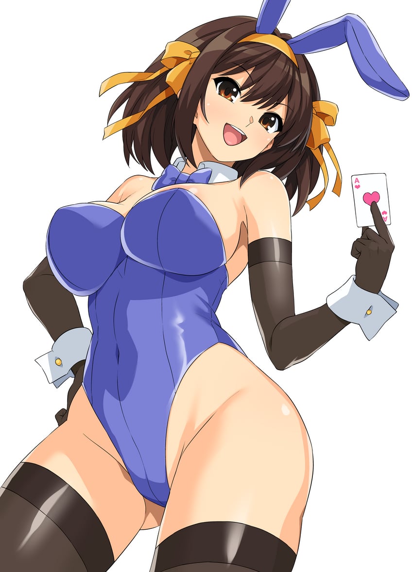 凉宫春日的忧郁、凉宫春日 1名女孩 :D 替换服装 兽耳 露肩
