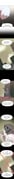二次元插画 #11429710