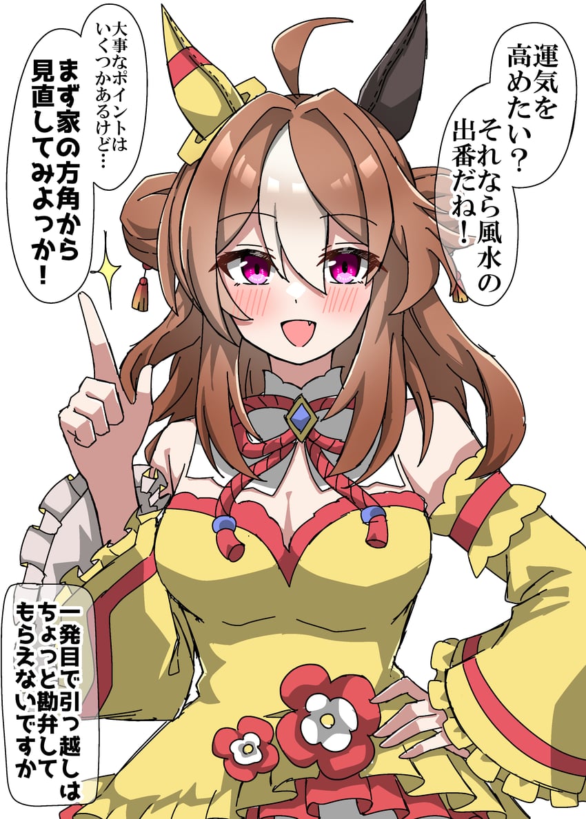 赛马娘、小林历奇 (赛马娘)、小林历奇 (阴阳八卦开运服) (赛马娘) 1名女孩 :D 呆毛 兽耳 脸红