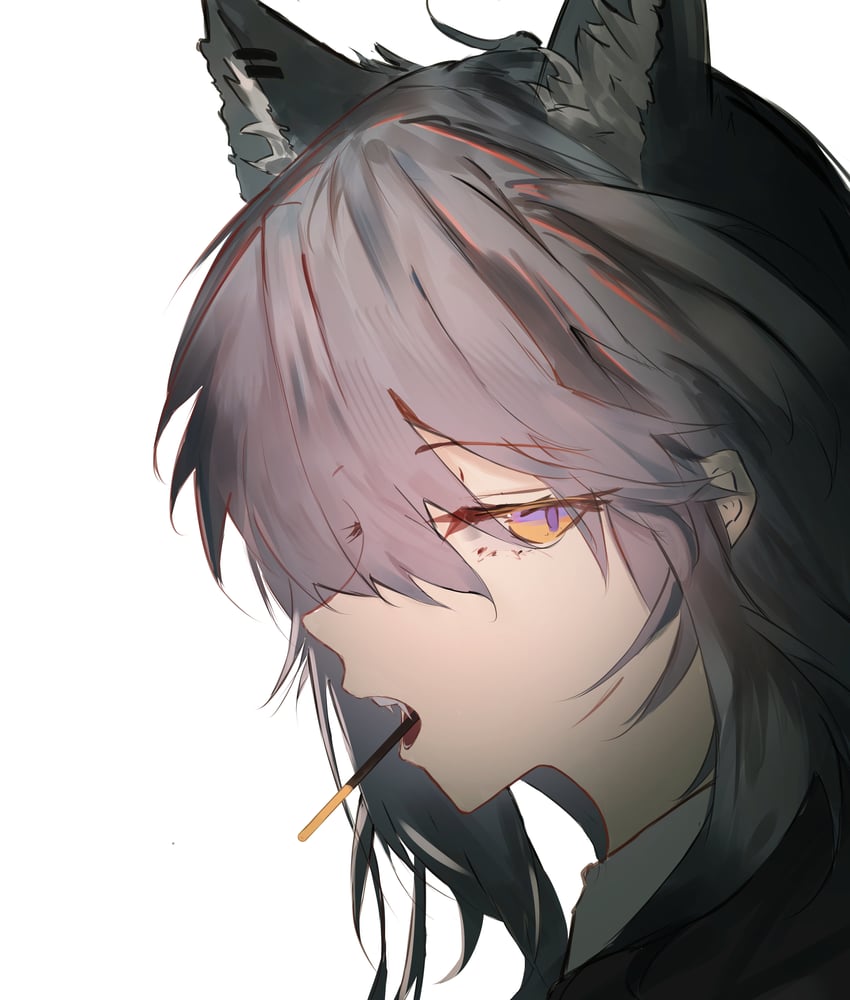 明日方舟、德克萨斯 (明日方舟) 1名女孩 兽耳毛 兽耳 棕发 特写