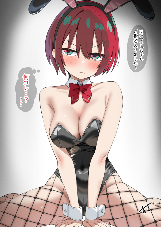 高达、高达、天手柚里华 1名女孩 替换服装 兽耳 黑色紧身连体衣 乳房