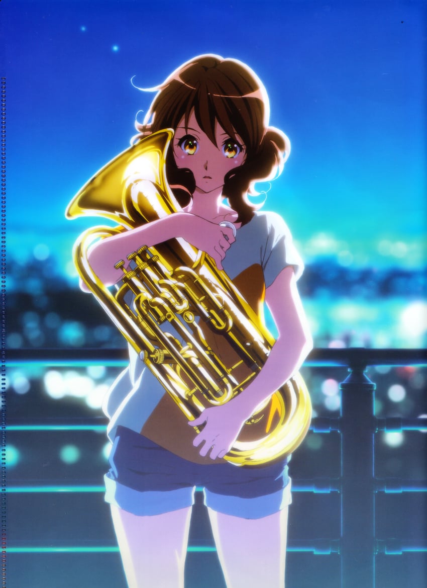 吹响吧！上低音号、京都动画、pony canyon 1名女孩 蓝天 棕发 手持 拿着乐器