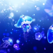 二次元插画 #11431437