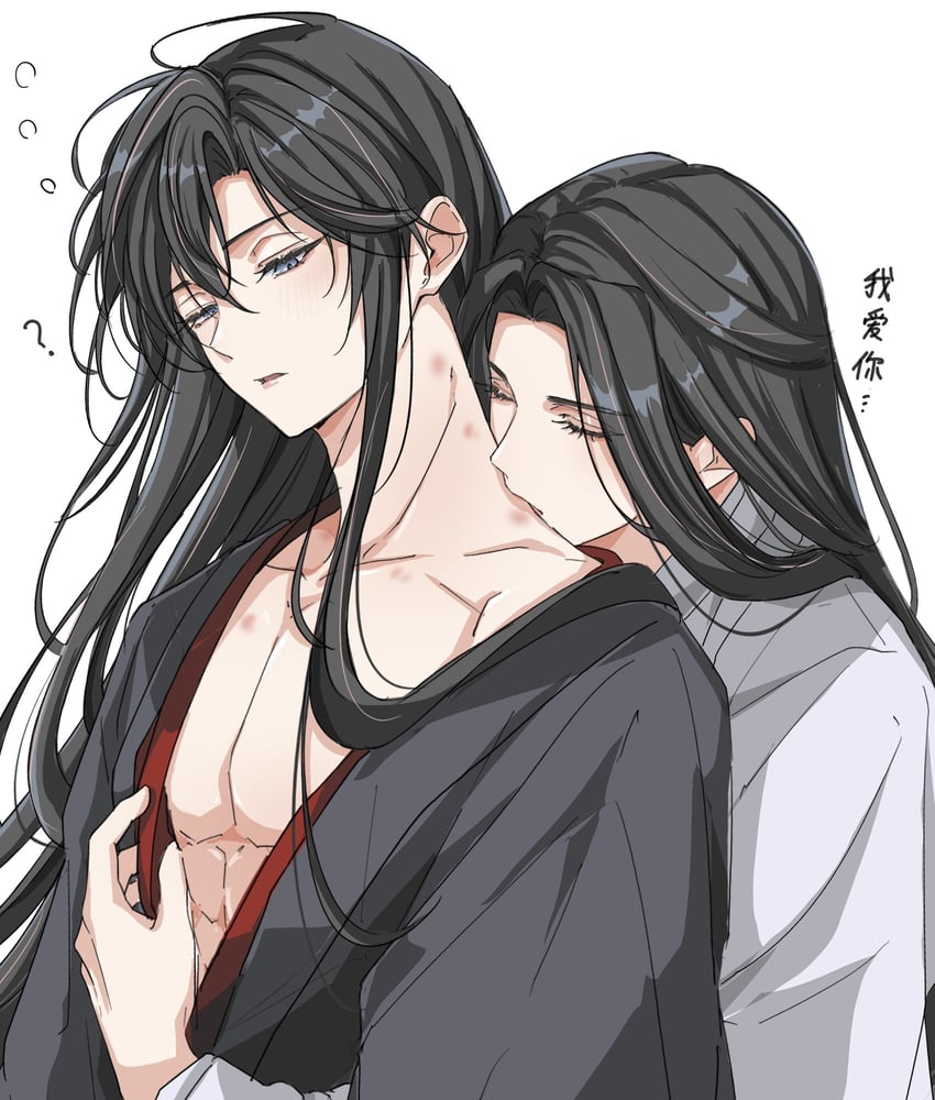 魔道祖师、蓝忘机、魏无羡 2个男孩 问号 不同发型 美少年 咬痕