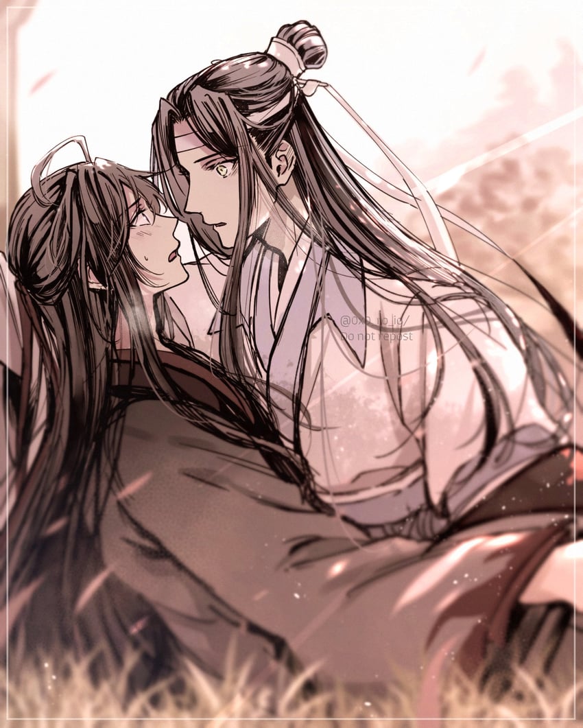 魔道祖师、蓝忘机、魏无羡 2个男孩 呆毛 黑发 黑色汉服 蓝饰带