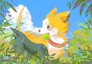 二次元插画 #11437468