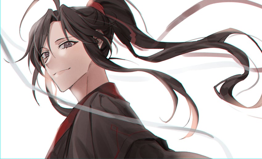 魔道祖师、魏无羡 1名男孩 呆毛 美少年 黑瞳 黑发