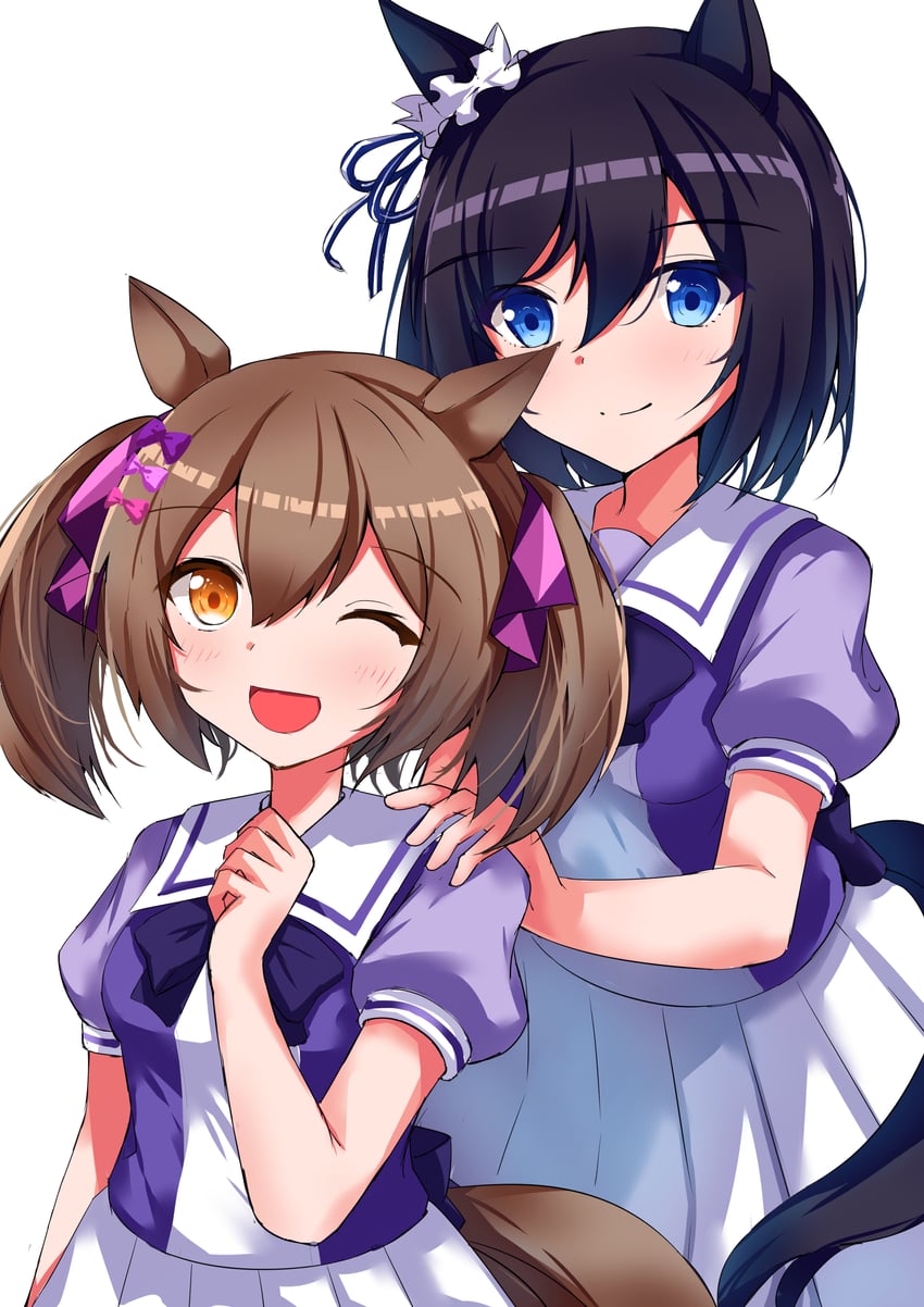 赛马娘、荣进闪耀(赛马娘)、醒目飞鹰 (赛马娘) 2名女孩 兽耳 黑发 蓝眼 脸红