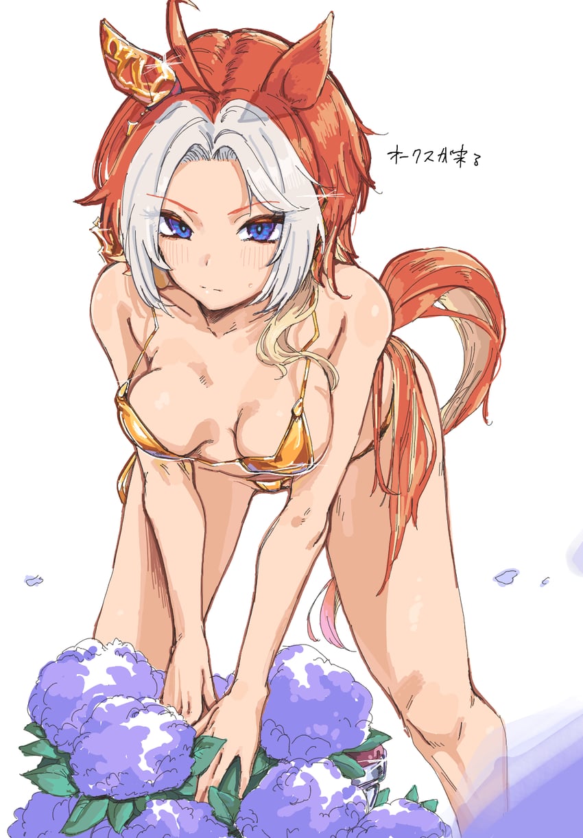 赛马娘、黄金巨匠 (赛马娘) 1名女孩 兽耳 裸臂 比基尼 脸红