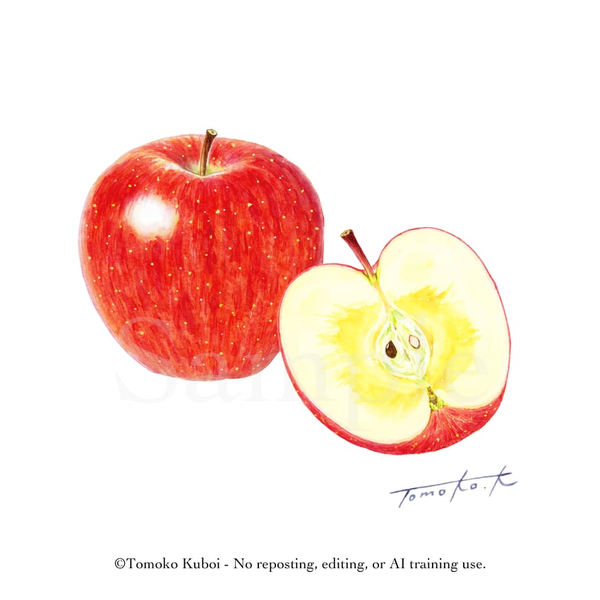 原创 苹果 apple seed 苹果片 作者名 食物
