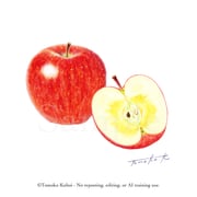 二次元插画 #11442559