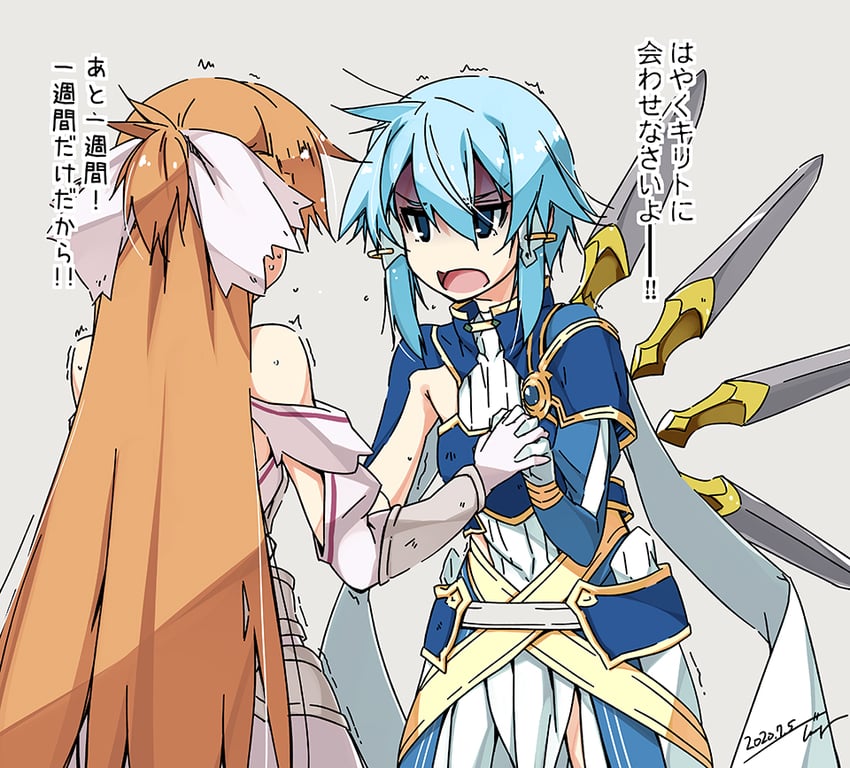 刀剑神域、刀剑神域：Alicization、刀剑神域：爱丽丝篇 异界战争 2名女孩 铠甲 不对称袖子 露肩 腰带
