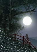 二次元插画 #11444644