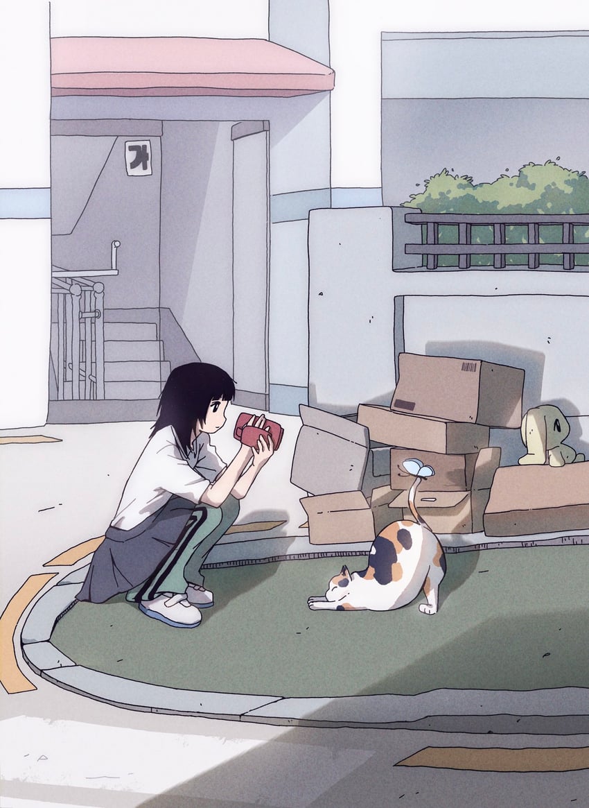 原创 1名女孩 动物 黑发 盒子 虫子