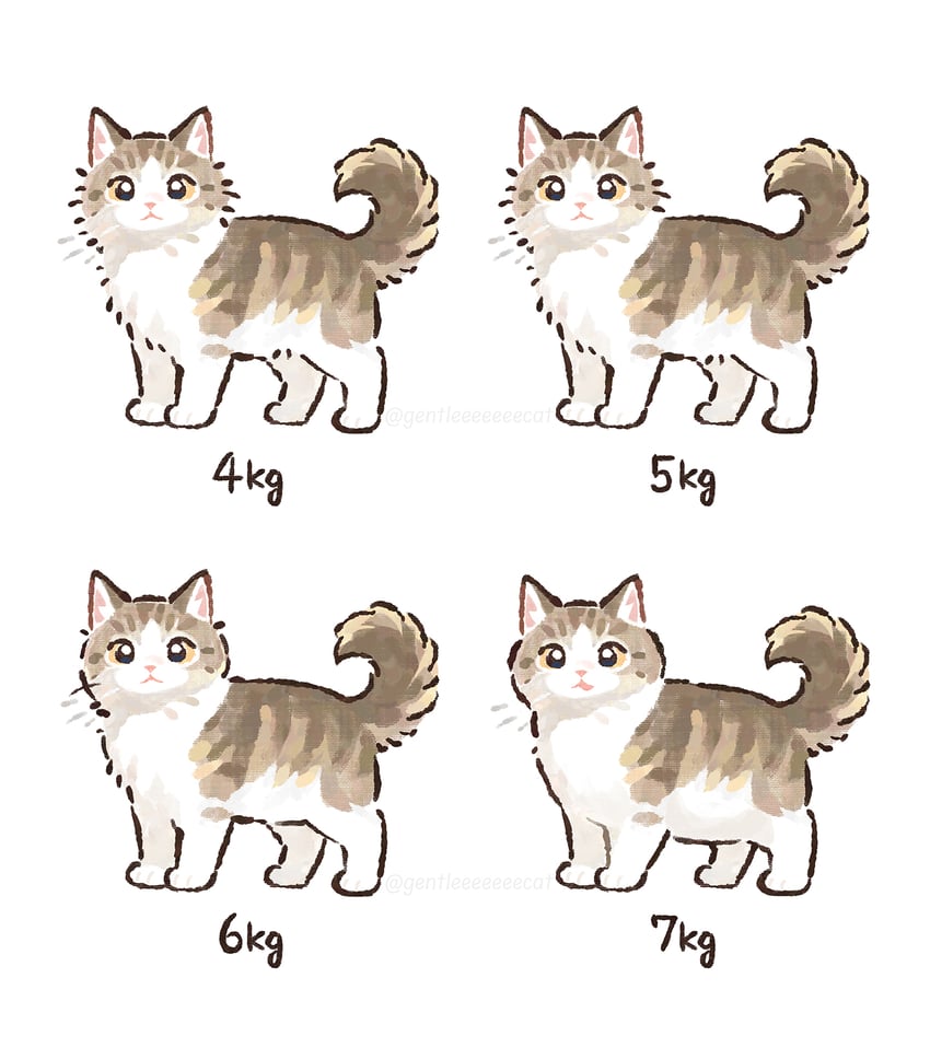 原创 动物 动物焦点 猫 闭嘴 多视图