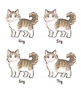 二次元插画 #11446855