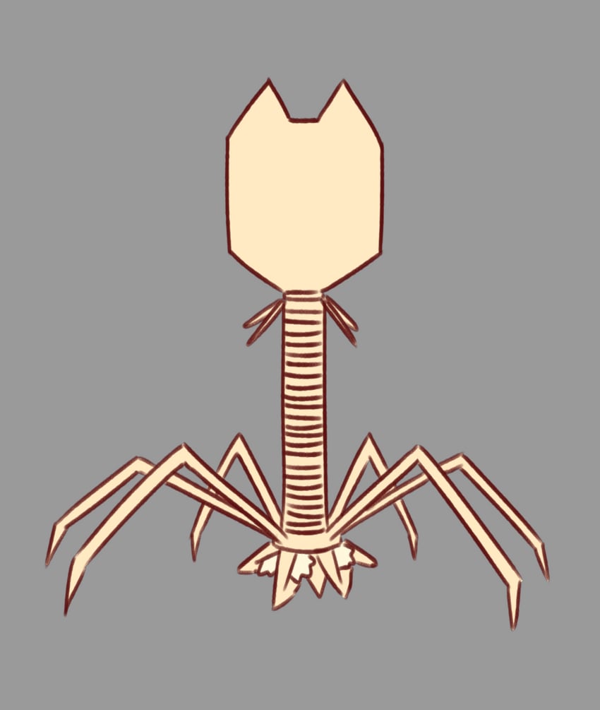 原创、兽耳酱 (naga u) 兽耳毛 兽耳 动物焦点 bacteriophage (virus) 狐耳
