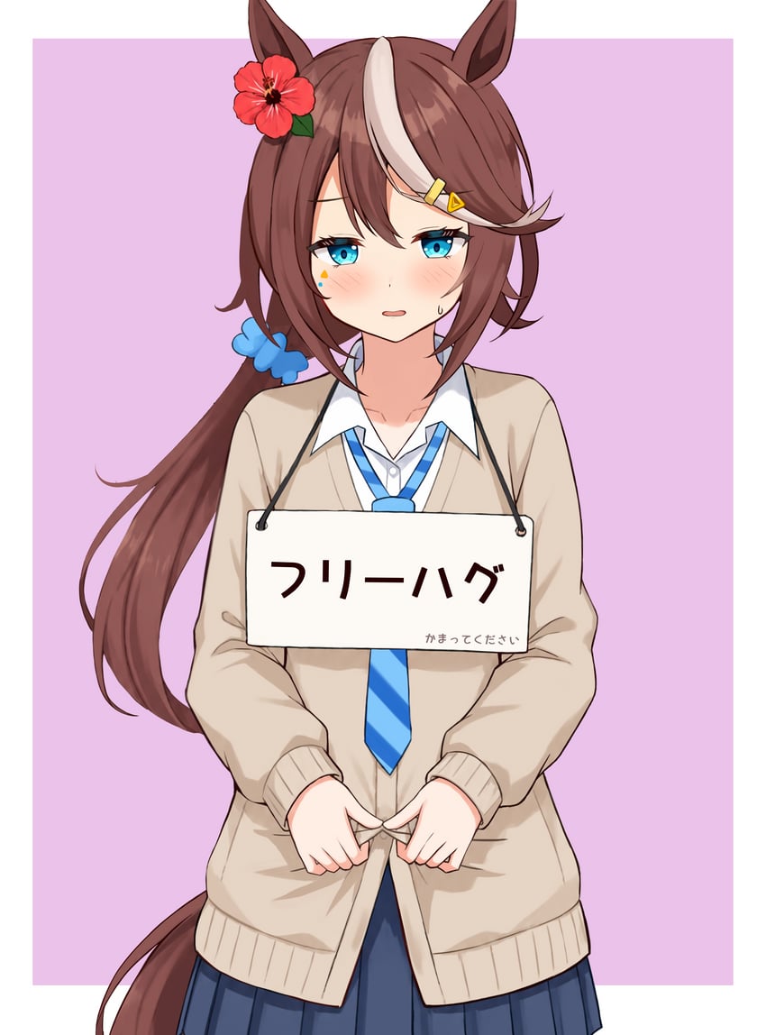 赛马娘、东海帝王 (赛马娘) 1名女孩 兽耳 蓝眼 蓝色领带 蓝裙子