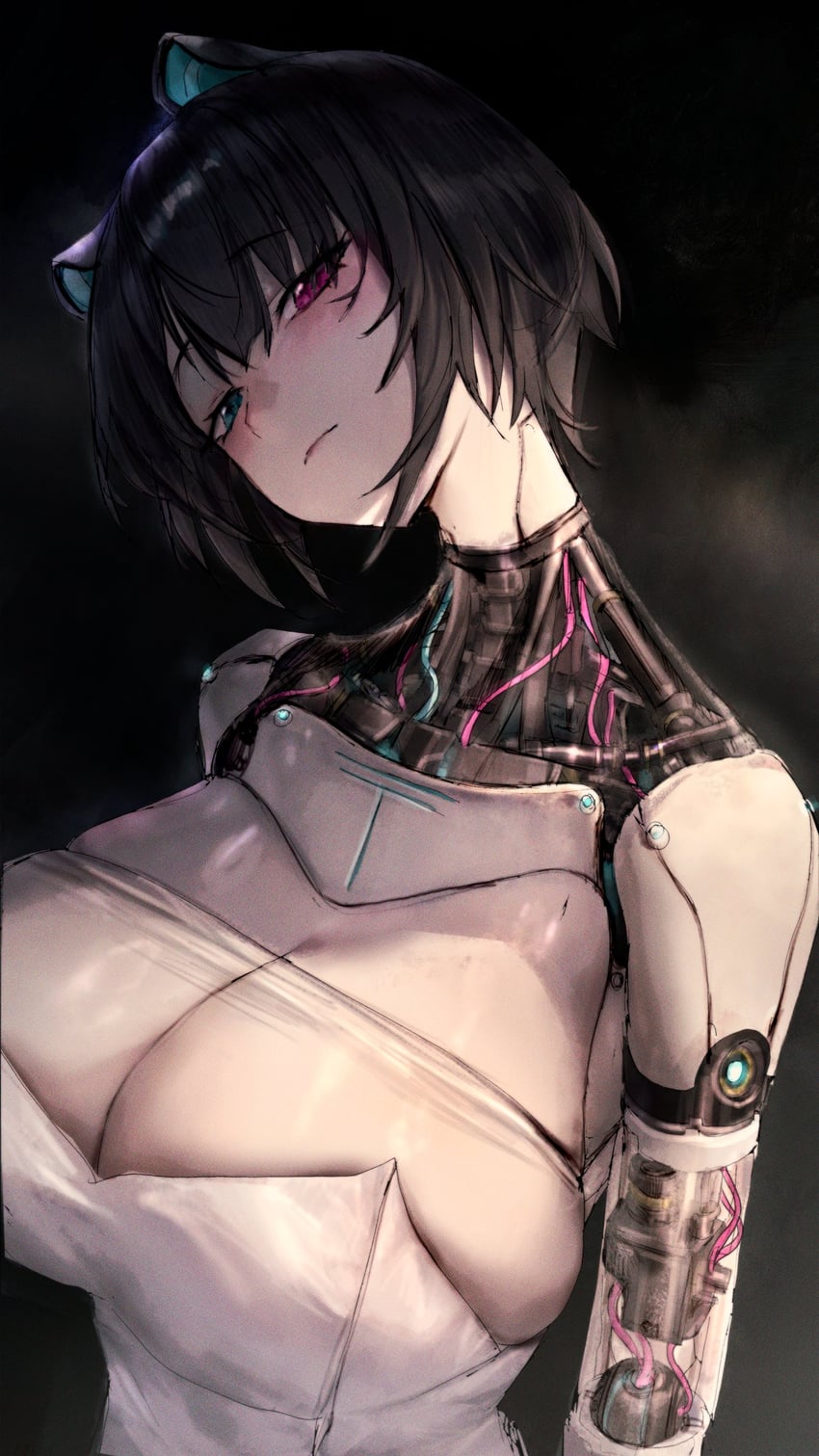 Phase Connect、牧名绘里奈 1名女孩 机器人 兽耳 黑发 蓝眼