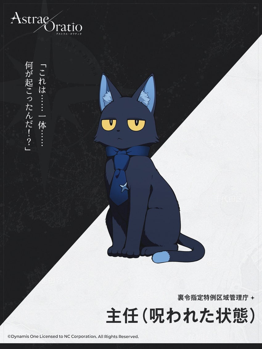 星光颂歌、主任 动物化 黑猫 蓝色领带 猫 闭嘴