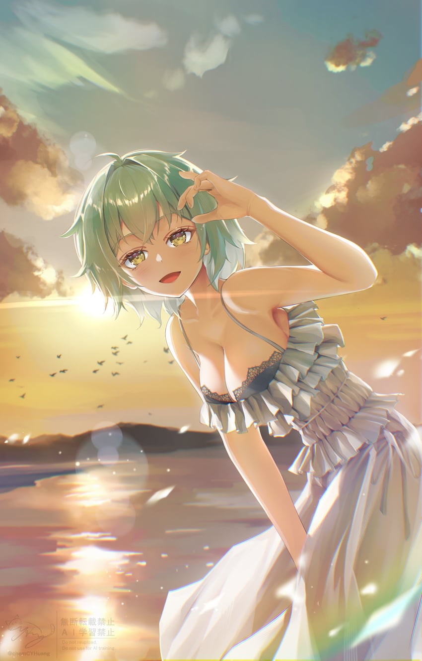 二次元插画 1名女孩 腋下 露肩 腿间 鸟