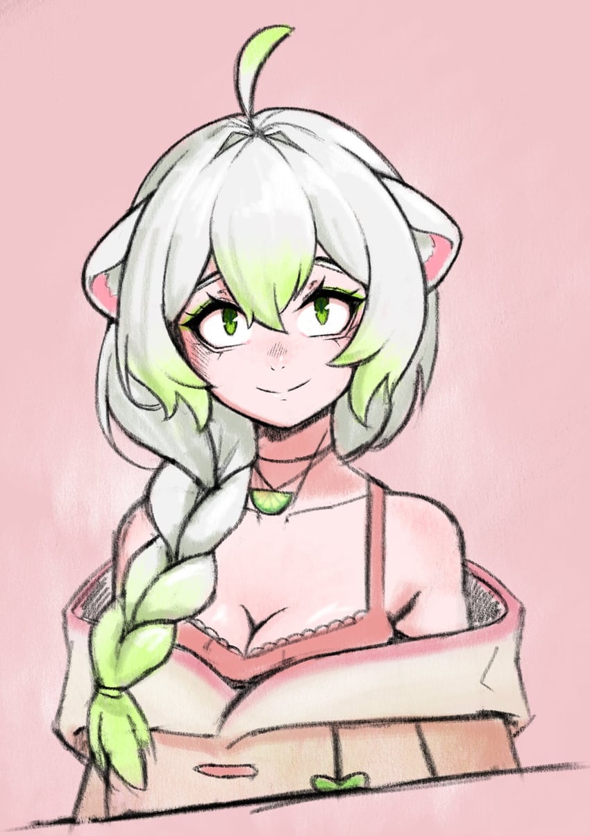 个人势虚拟主播、Vinesauce、Limealicious 1名女孩 呆毛 兽耳 辫子 辫子马尾