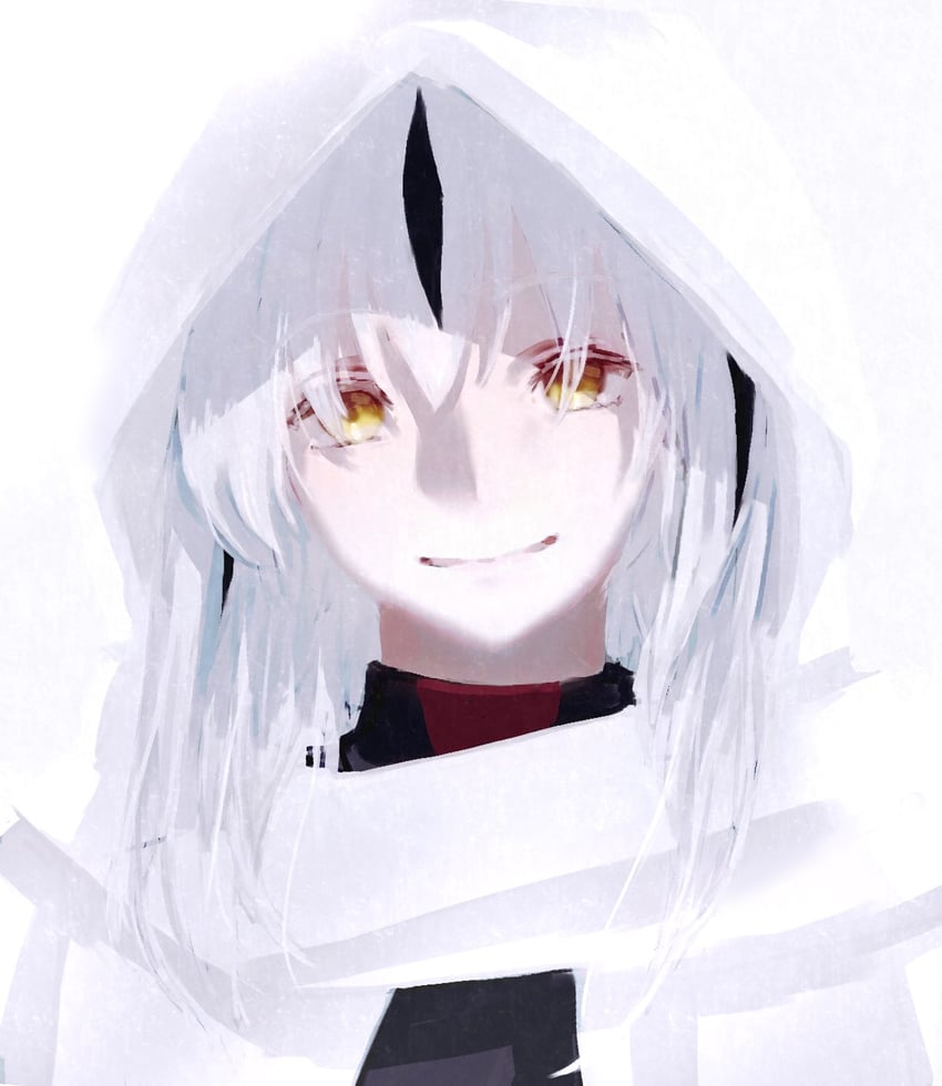 Fate/Grand Order、Fate系列、长尾景虎（Fate） 1名女孩 黑条纹/黑挑染 歪头 兜帽 戴着兜帽