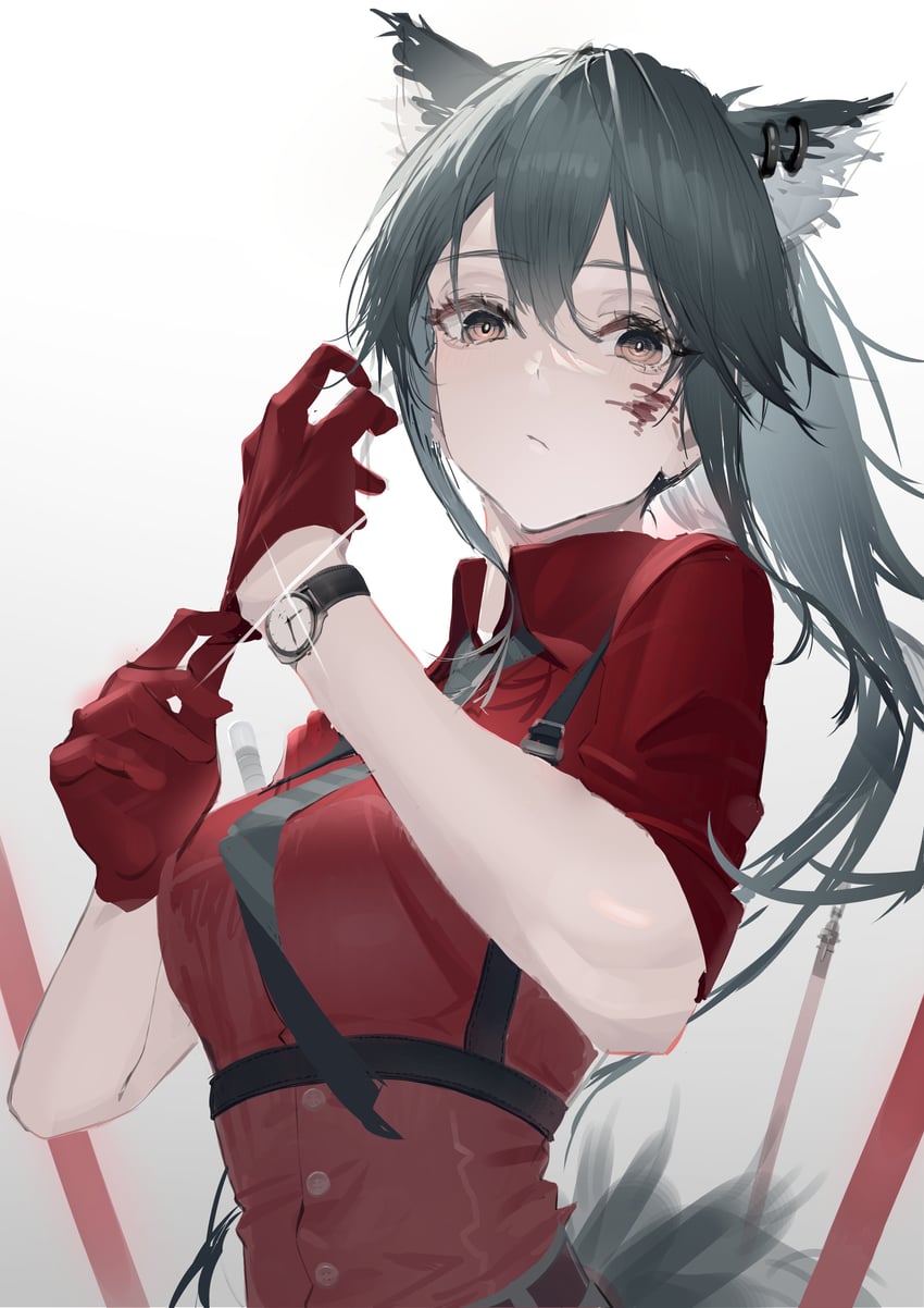 明日方舟、德克萨斯 (明日方舟)、德克萨斯 (意志) (明日方舟) 1名女孩 整理衣服 整理手套 兽耳 黑发