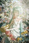 二次元插画 #11464683