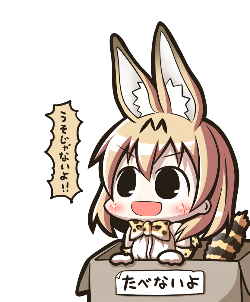兽娘动物园、薮猫 (兽娘动物园) 1名女孩 :D 兽耳毛 兽耳 露肩