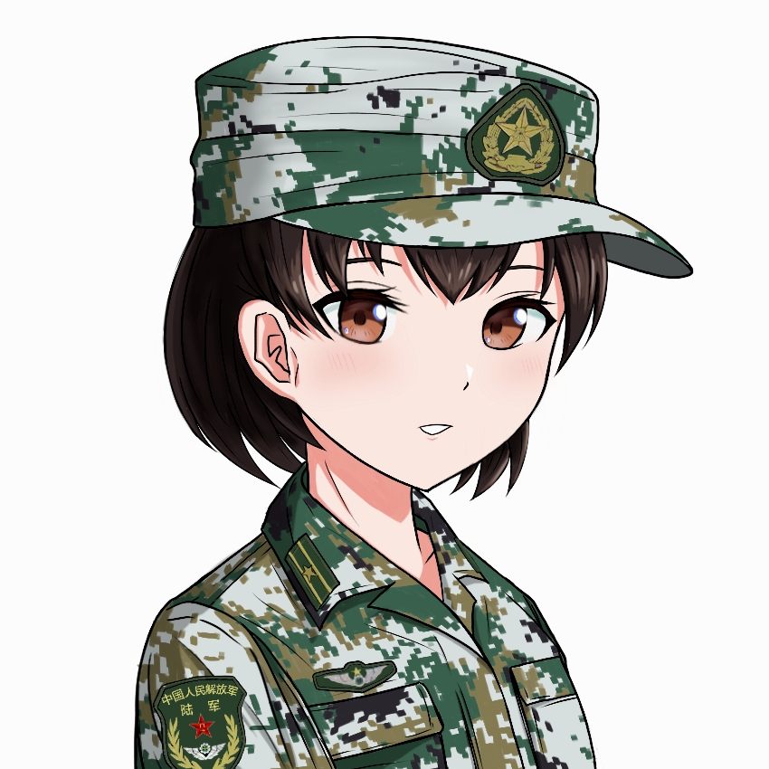 原创 1名女孩 脸红 棕眼睛 棕发 迷彩